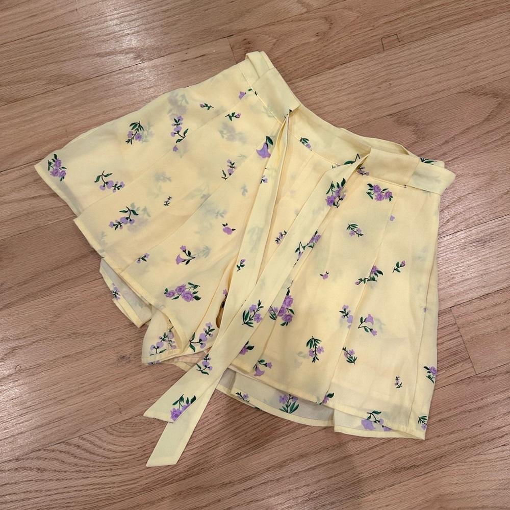 Aritzia Skort